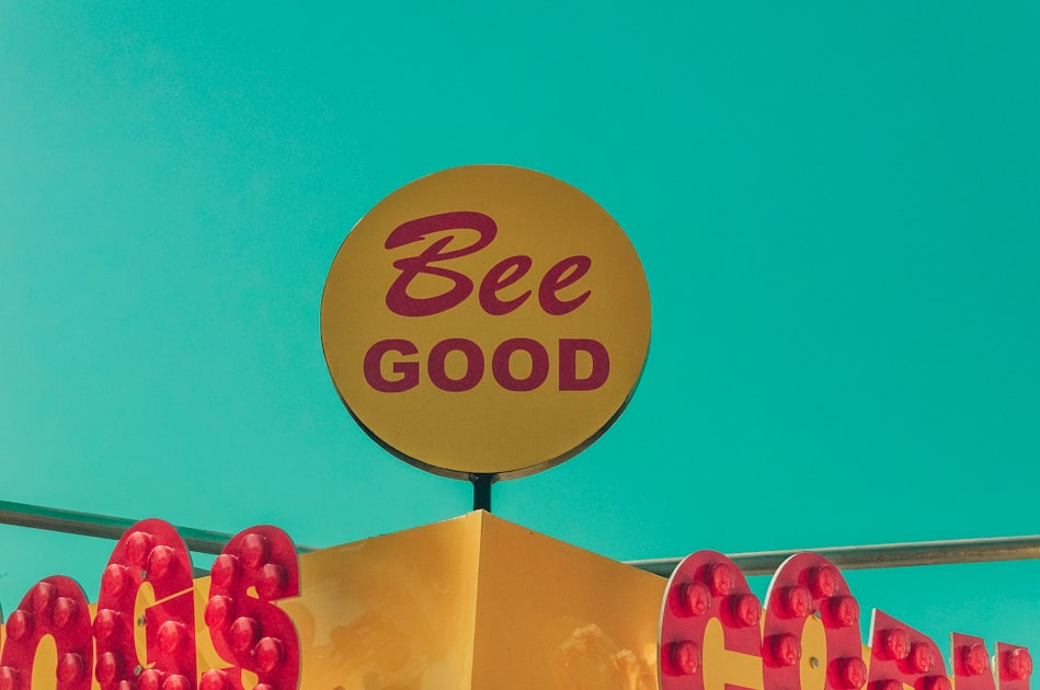 Beekeeping Basics for Beginners